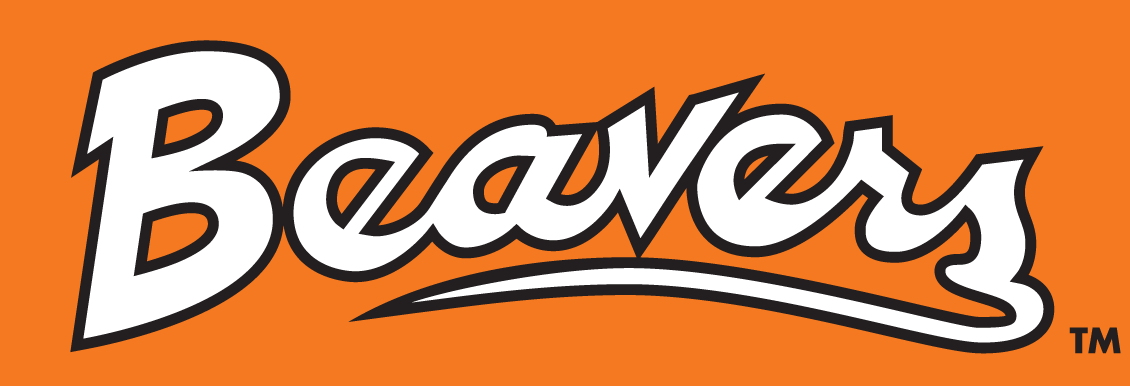 Oregon State Beavers 1979-1996 Wordmark Logo v3 diy iron on heat transfer